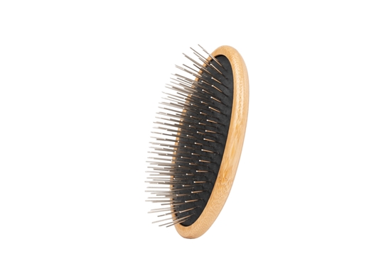 Picture of The Sentinel T31 Eco Style Palm Brush